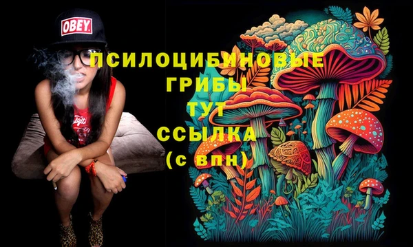 ешки Беломорск