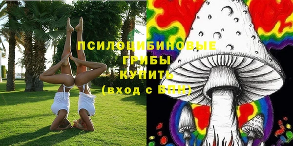 тгк Белокуриха