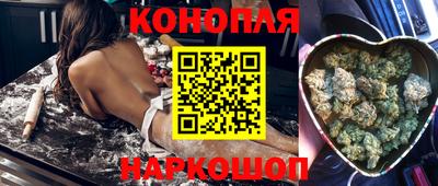 гидропоника Новокубанск
