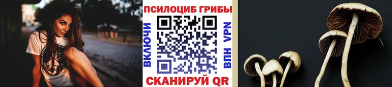 Псилоцибиновые грибы мухоморы  купить наркоту  Саяногорск 