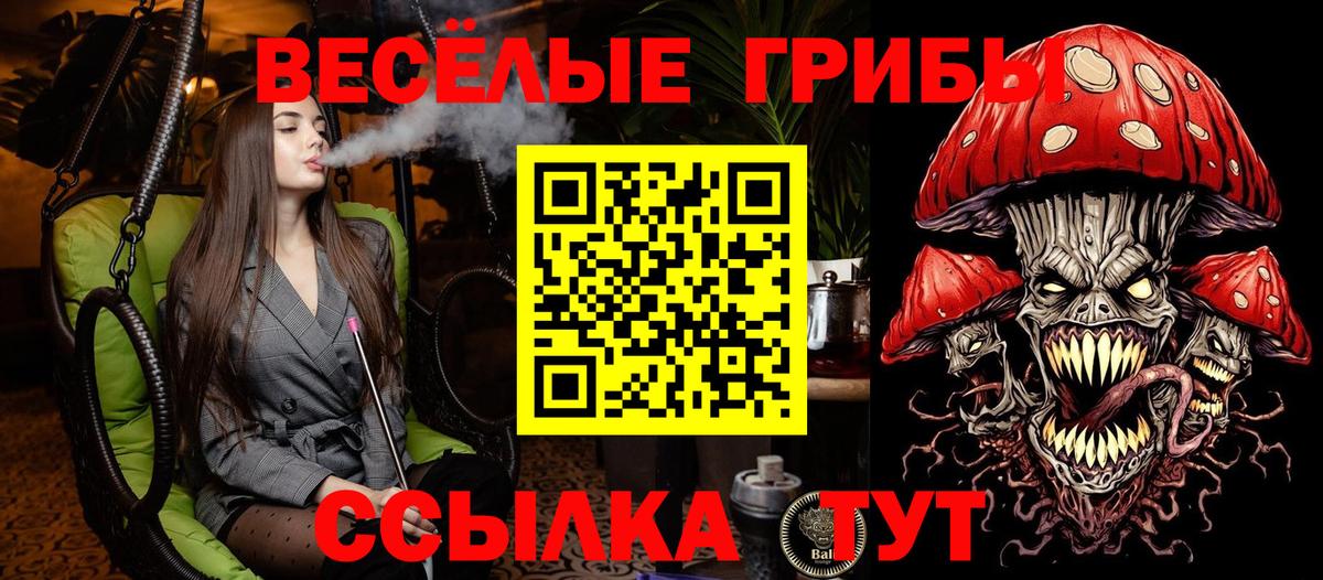 Галлюциногенные грибы прущие грибы  Галлюциногенные грибы прущие грибы  Саяногорск  Вход с VPN 