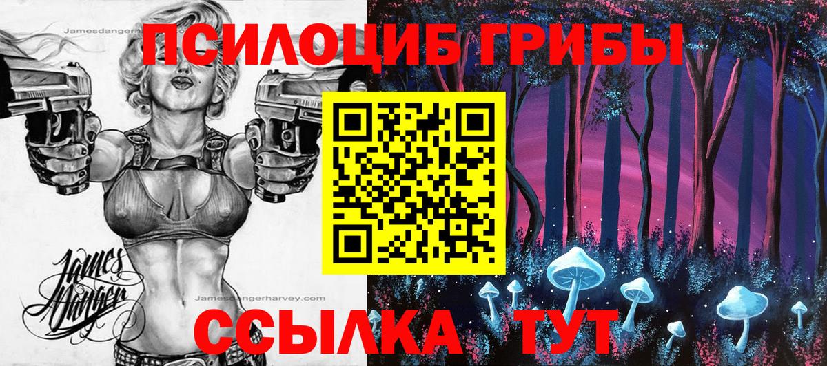 Галлюциногенные грибы Cubensis Саяногорск